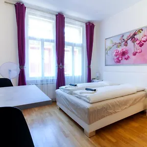 Bouquet Daire Prag